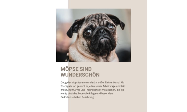 Möpse sind wunderschön CSS-Vorlage