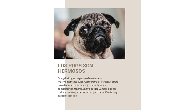 Los pugs son hermosos Creador de sitios web HTML