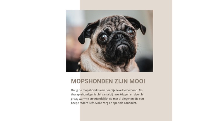 Mopshonden zijn mooi Website ontwerp