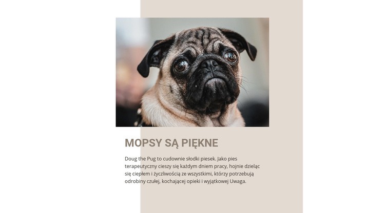 Mopsy są piękne Szablon HTML5