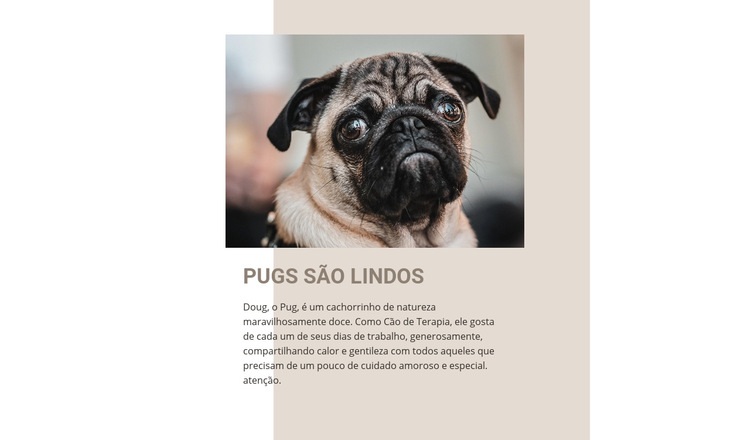 Pugs são lindos Construtor de sites HTML
