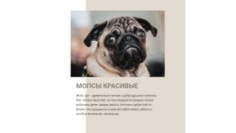 Мопсы Красивы — Бесплатная Тема WordPress