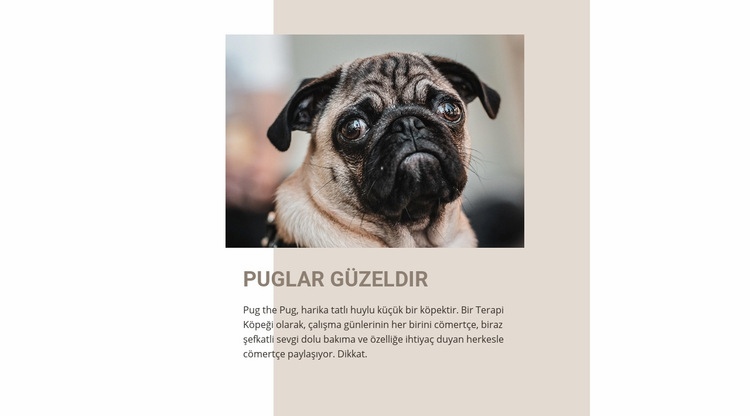 Puglar Güzeldir Web Sitesi Mockup'ı
