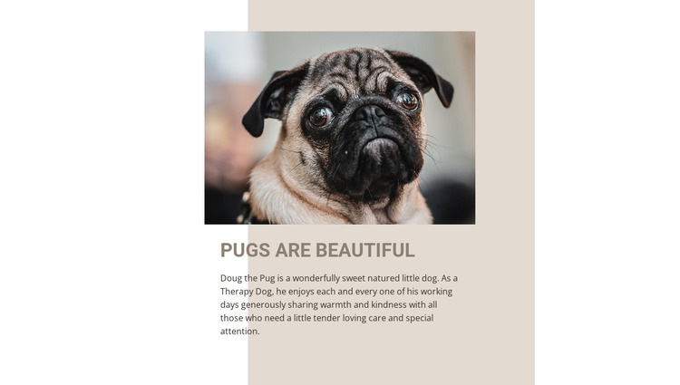 Pugs are Beautiful Website Mockup