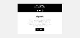 Diseño De Sitio Web Contactos De La Agencia Para Cualquier Dispositivo