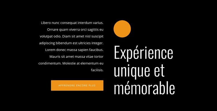 Expérience unique et mémorable Maquette de site Web