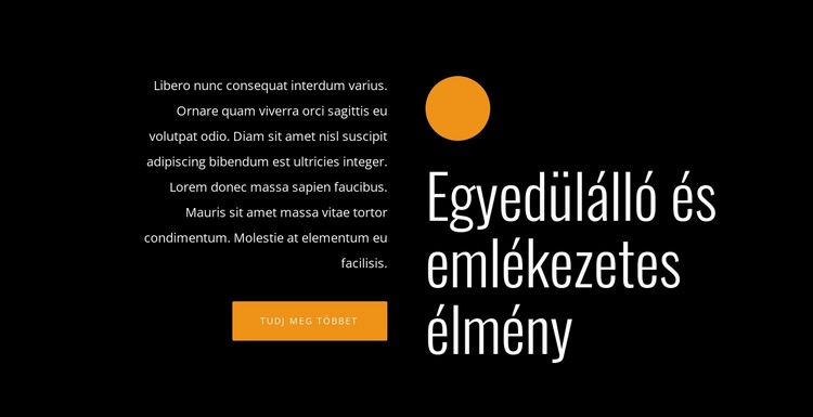 Egyedülálló és emlékezetes élmény CSS sablon