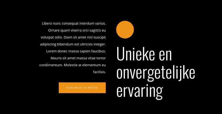 Unieke en onvergetelijke ervaring HTML5-sjabloon