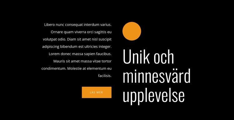 Unik och minnesvärd upplevelse CSS -mall