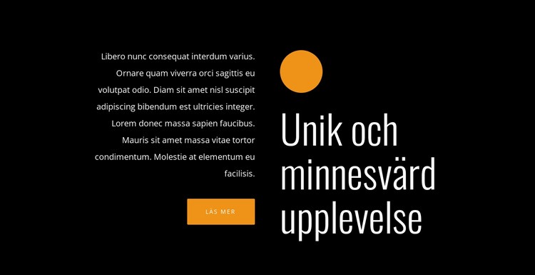 Unik och minnesvärd upplevelse WordPress -tema