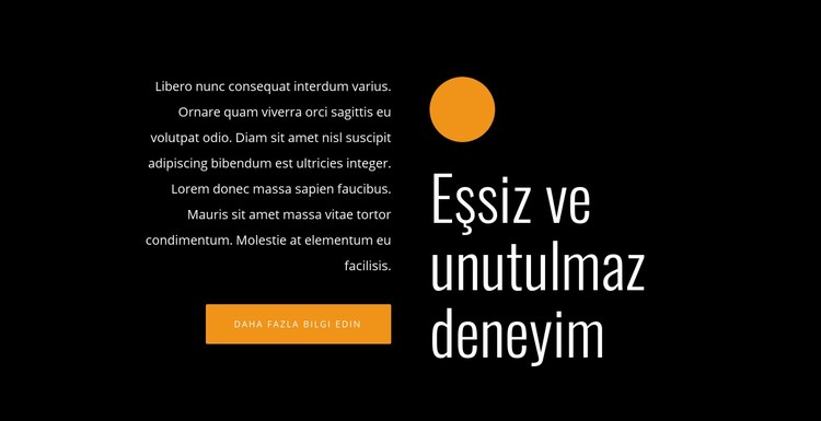 Eşsiz ve unutulmaz deneyim CSS Şablonu