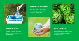 Conceptos De Biología De La Naturaleza - Inspiración Para El Diseño De Sitios Web