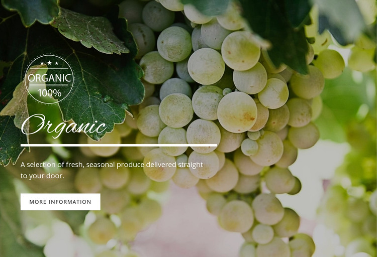Organic Homepage Design
