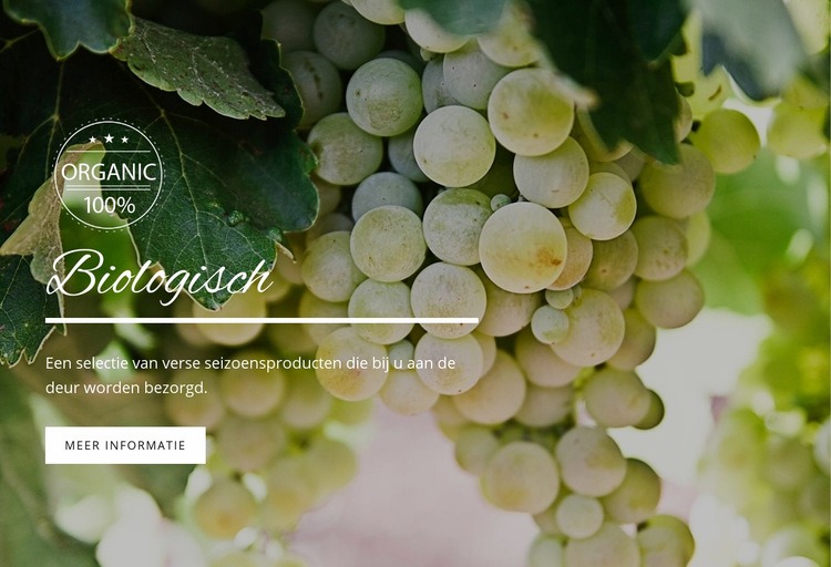 Biologisch Website ontwerp