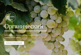 Органический – Шаблон HTML-Страницы