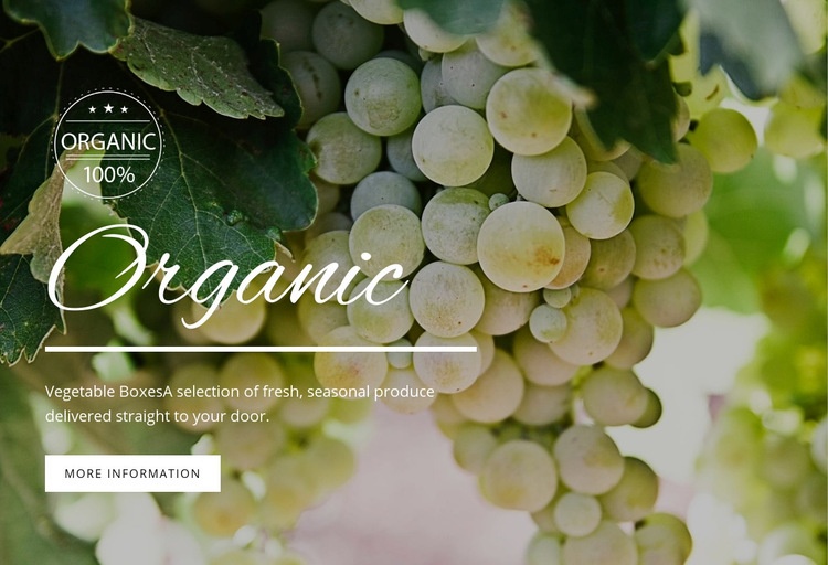 Organic Webflow Template Alternative