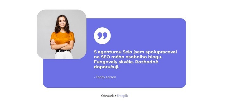 Fungovaly skvěle Šablona CSS