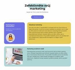 Vede Z Vyhledávání – Responzivní HTML5 Šablona