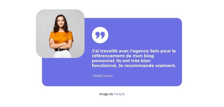 Ils ont très bien fonctionné Modèle de site Web