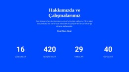 Sayaç Hakkımızda CSS Şablonu