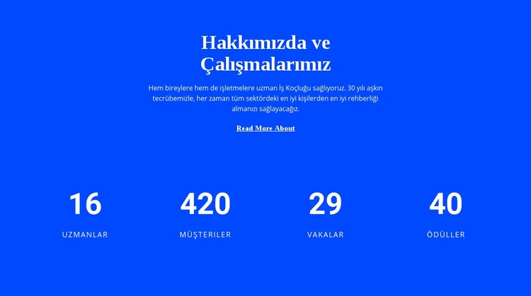 Sayaç Hakkımızda CSS Şablonu