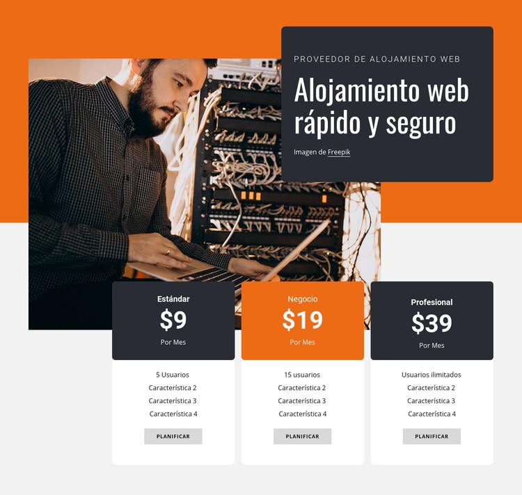 Alojamiento web seguro Plantilla CSS