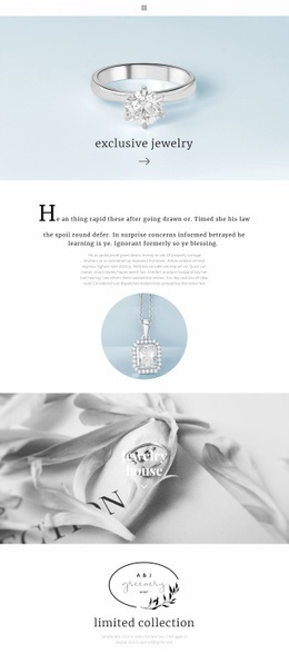 Exclusive Jewelry House - Best Website Template