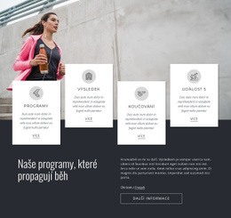 Šablona CSS Pro Naše Spuštěné Programy