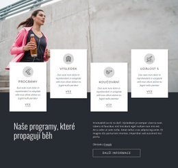 Naše Spuštěné Programy – Responzivní Téma WordPress