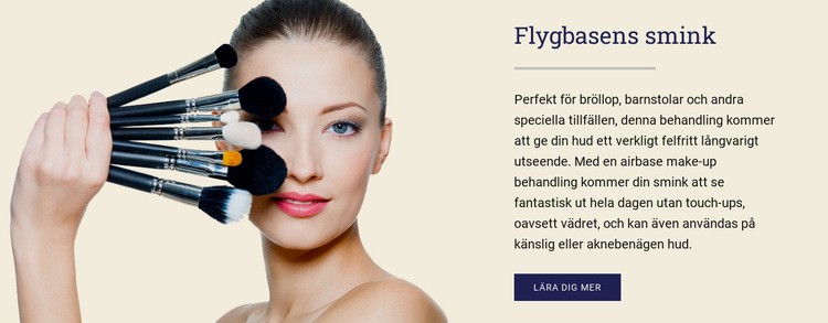 Flygbasens smink CSS -mall