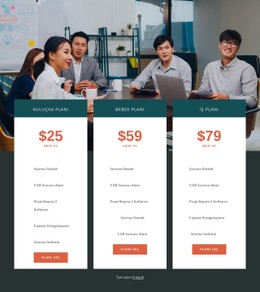 Web Barındırma Planları Basit CSS Şablonu