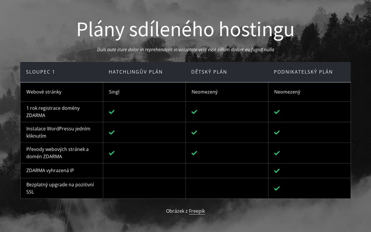 Plány sdíleného hostingu Šablona HTML