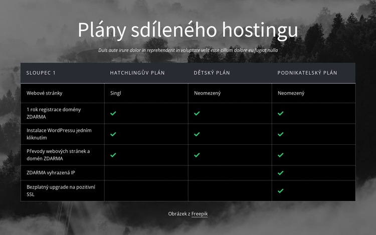 Plány sdíleného hostingu Šablona webové stránky