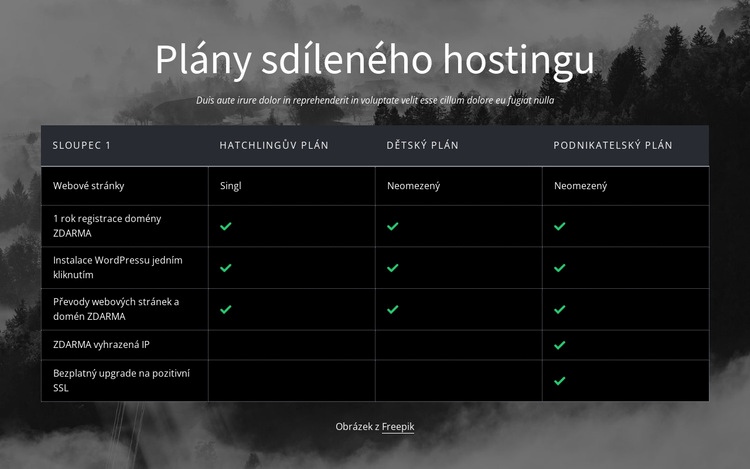 Plány sdíleného hostingu Webový design