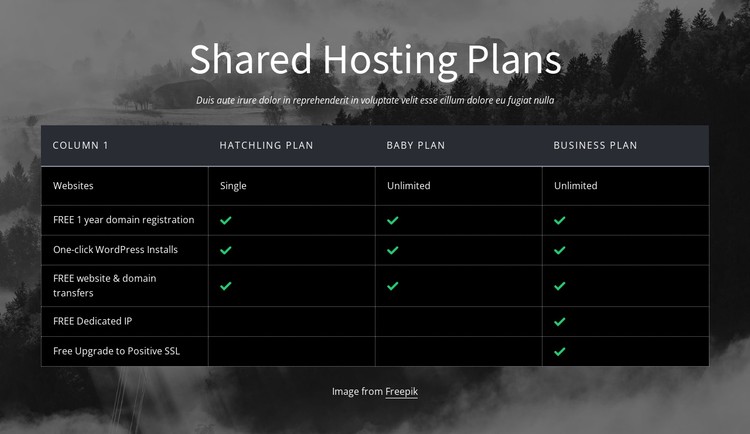 Shared hosting plans CSS Template