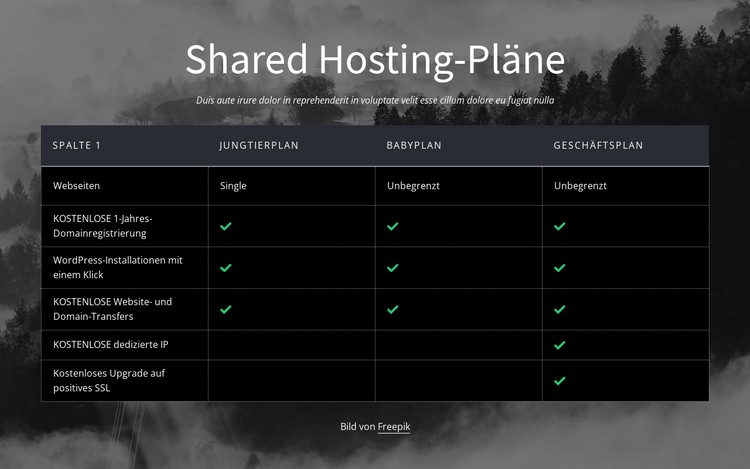 Shared-Hosting-Pläne CSS-Vorlage