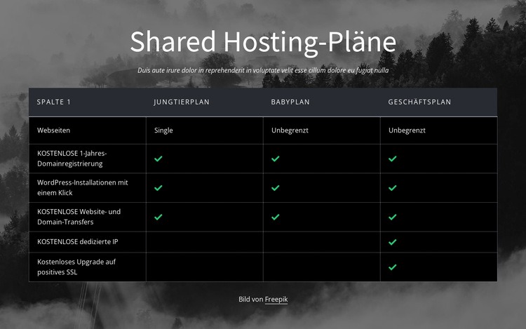 Shared-Hosting-Pläne Eine Seitenvorlage
