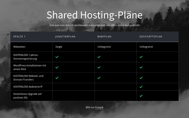 Shared-Hosting-Pläne HTML-Vorlage