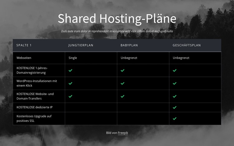 Shared-Hosting-Pläne HTML5-Vorlage