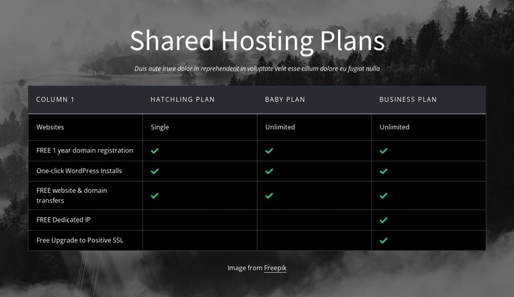 Shared hosting plans Elementor Template Alternative