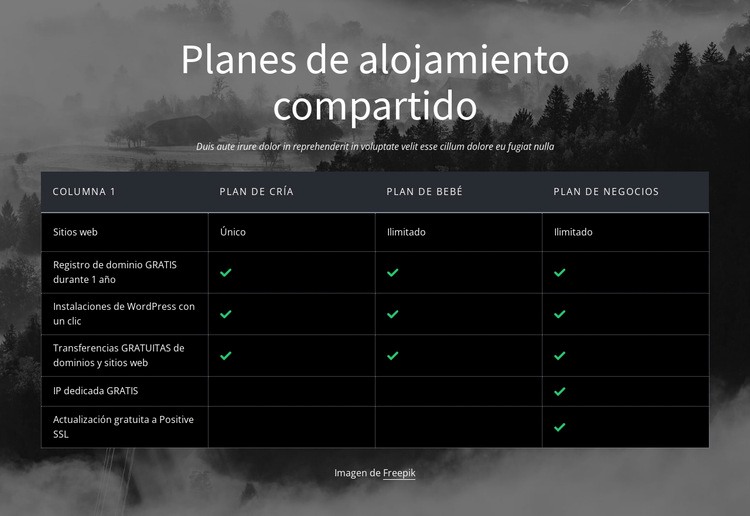 Planes de hosting compartido Plantilla