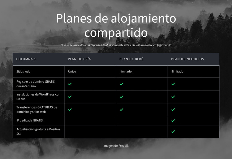 Planes de hosting compartido Plantilla de sitio web