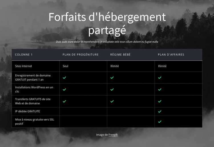 Forfaits d'hébergement partagé Conception de site Web