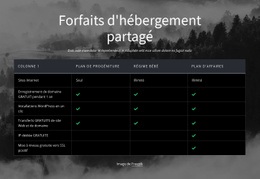 Forfaits D'Hébergement Partagé - Superbe Créateur De Site Web