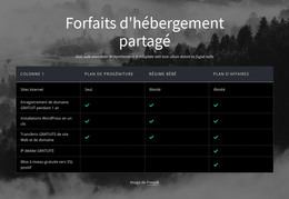 Forfaits D'Hébergement Partagé - Modèle De Page HTML