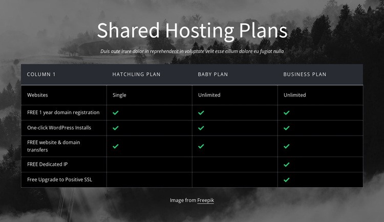 Shared hosting plans Homepage Design