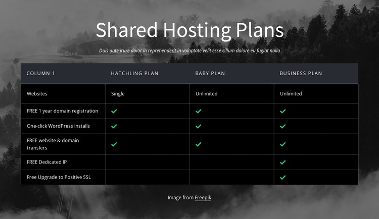Shared hosting plans Html Code Example