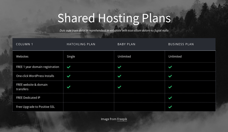 Shared hosting plans HTML5 Template