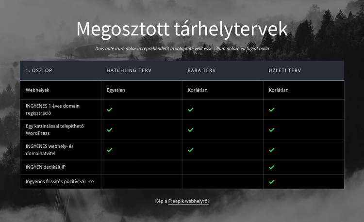 Megosztott tárhelytervek Weboldal tervezés