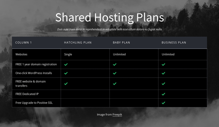 Shared hosting plans Joomla Template